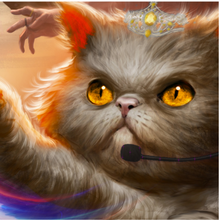 Load image into Gallery viewer, Catnip