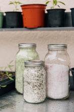 Load image into Gallery viewer, Celery Salt (Limited Batch!)