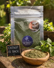 Load image into Gallery viewer, Catnip
